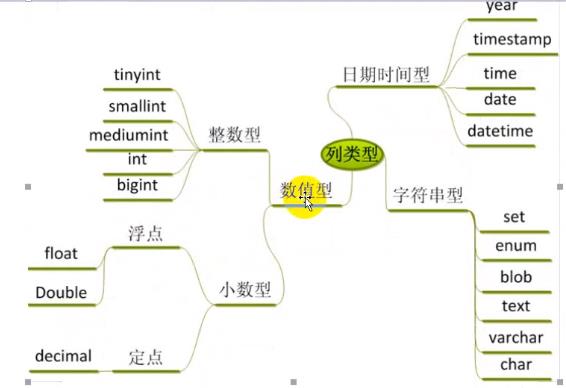 数据表的数据类型